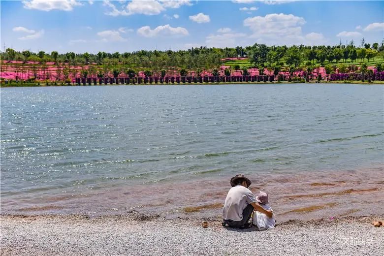 从四首闲适小诗里感受太平湖森林小镇最美田园生活