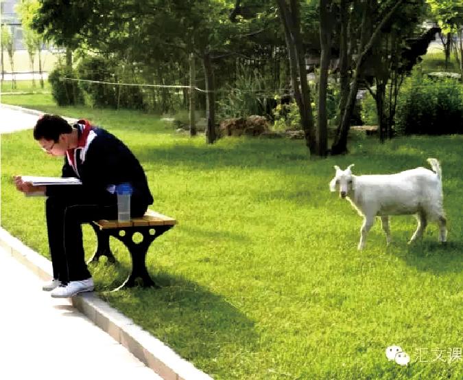 北京汇文中学2024招生,北京汇文中学全国招生