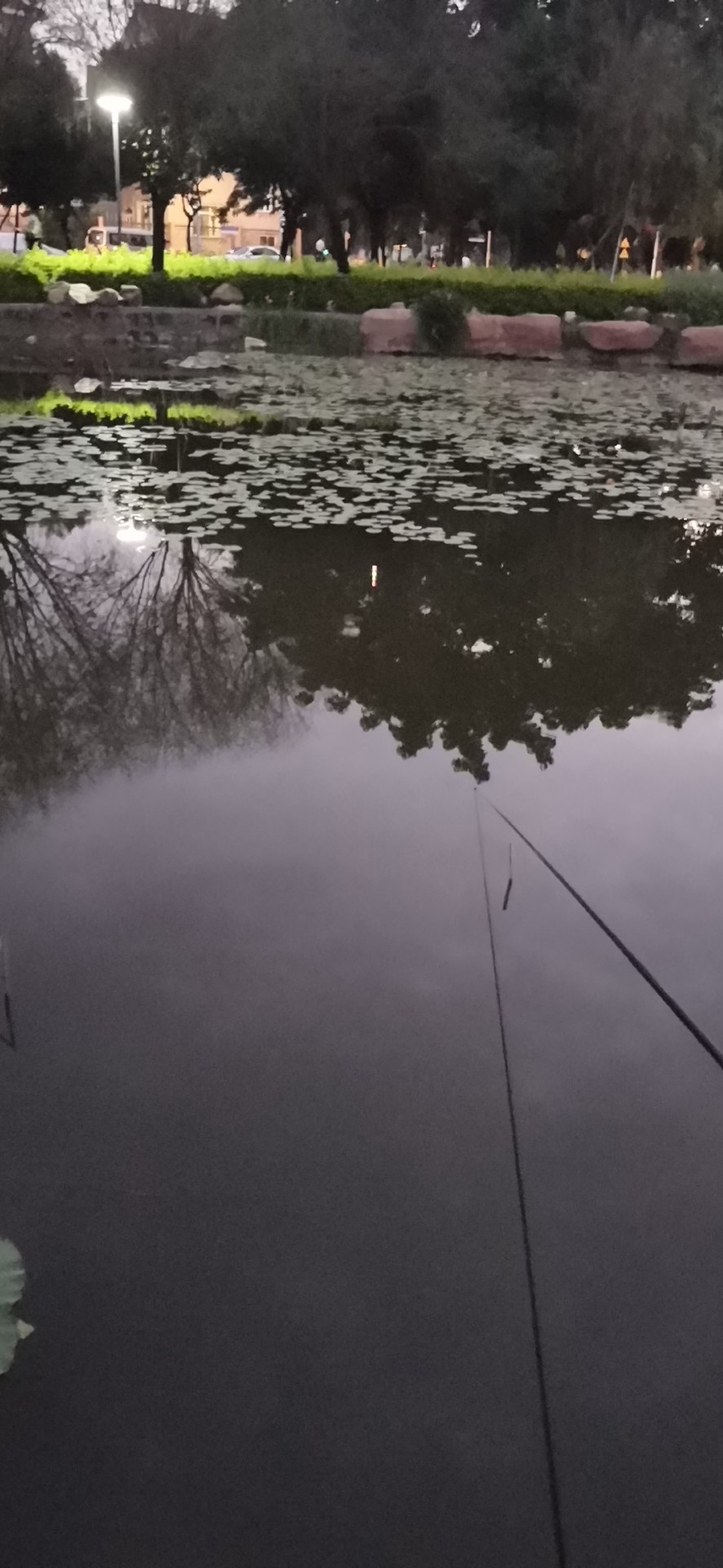 钓鲫鱼饵料经典配方钓友自制,分享一款常用饵料