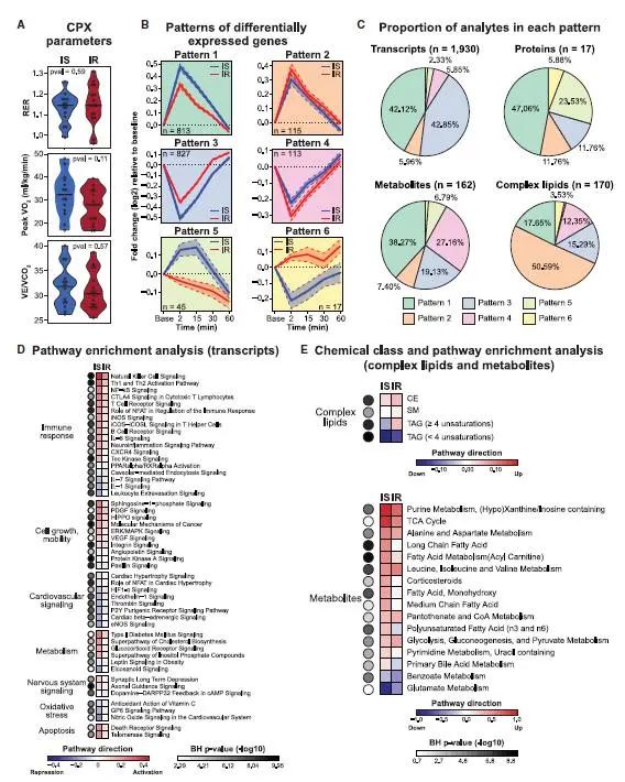 运动10分钟，机体内的分子是如何变化的？