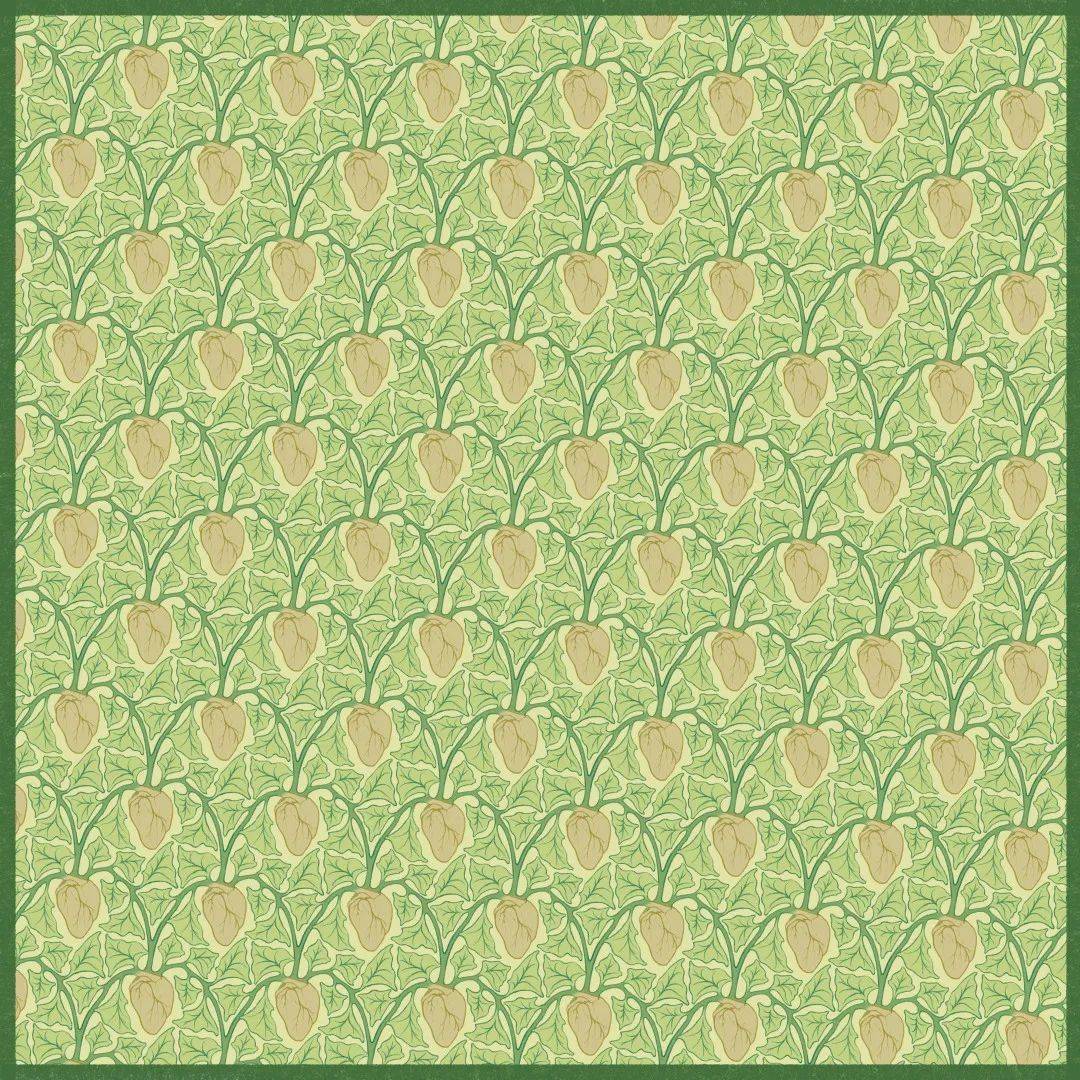 2021中央美术学院设计作品,中央美术学院2020毕业展作品