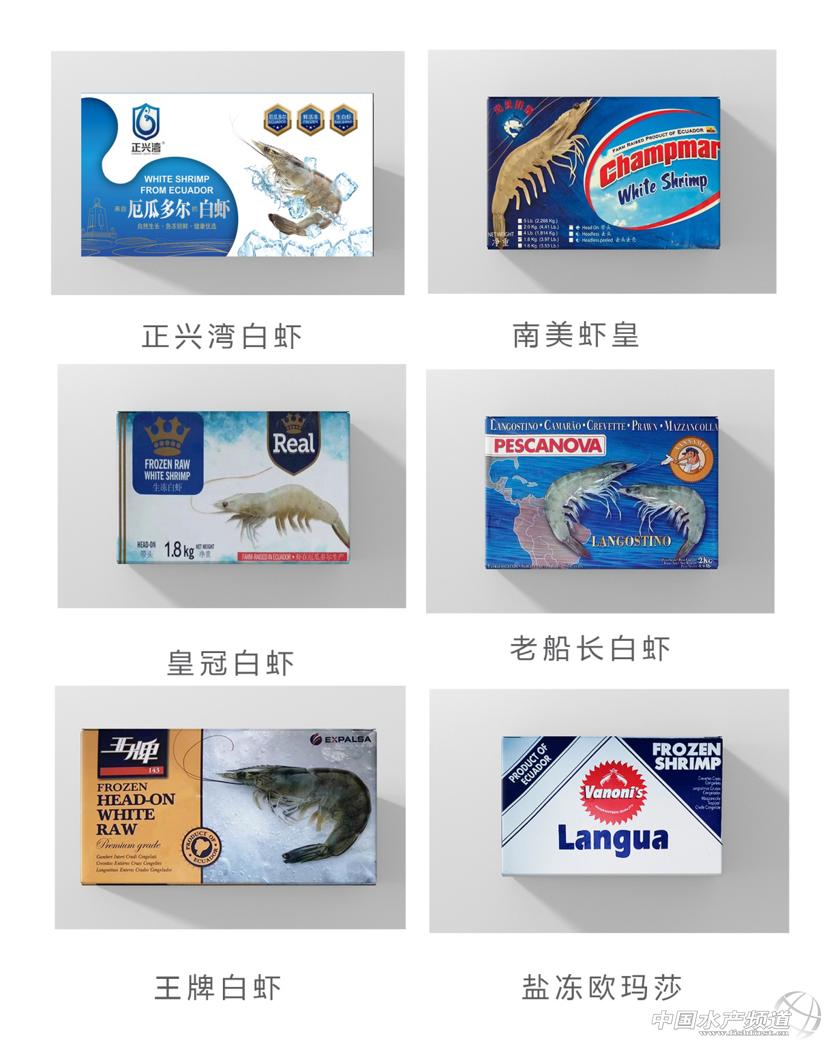 进口南美白虾价格今日行情,南美白对虾市场调查