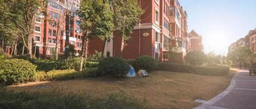 微信朋友圈七不晒,微信朋友圈七不晒是什么