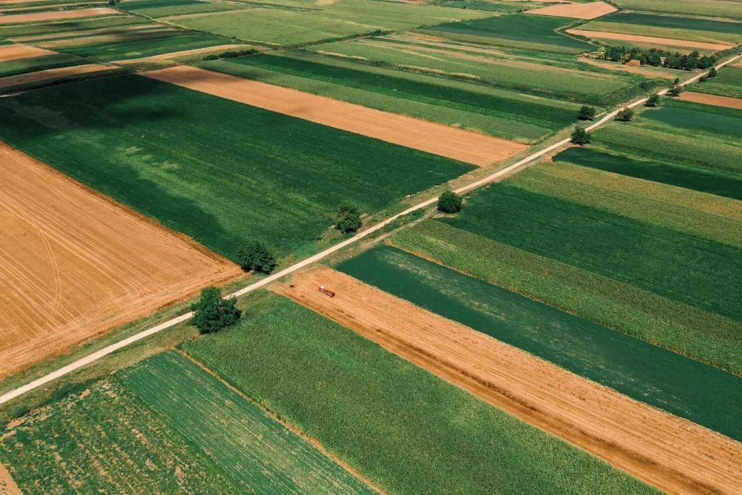 今日芒种七律,今日芒种最新模板