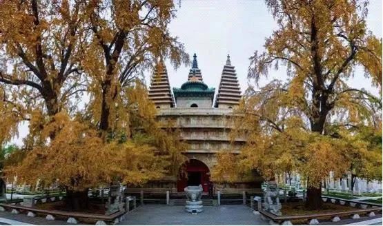 「限量特价」39元抢购价值5000元的2020年北京联合游览通票1套，可畅游京城百家景区，不贴照片不实名，不限周末，省钱还省心