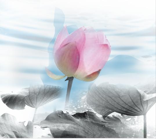 「清风镜头」国家扶贫日