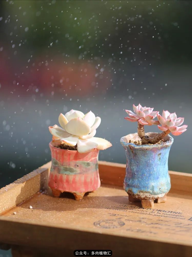 专注于自己喜欢的事情,专注于自己喜爱的事情