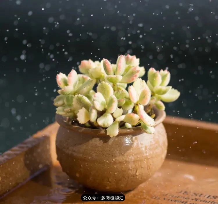 专注于自己喜欢的事情,专注于自己喜爱的事情