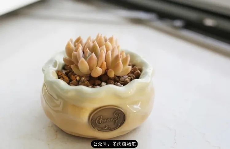 专注于自己喜欢的事情,专注于自己喜爱的事情