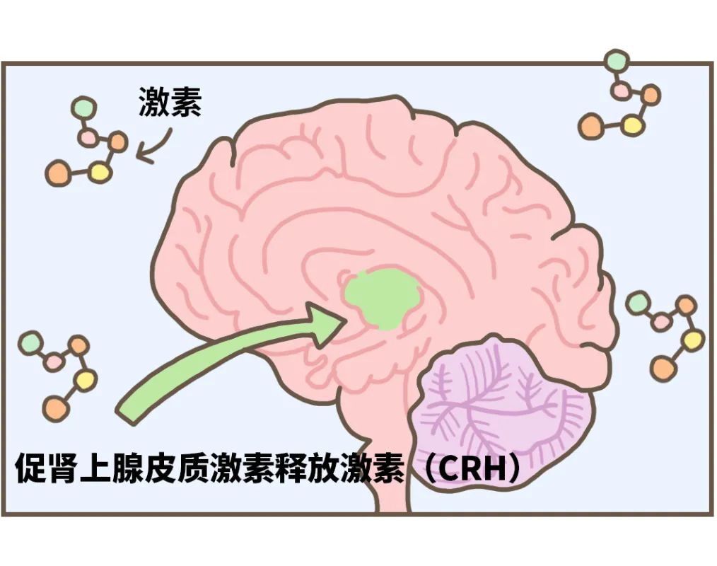 膀胱害羞症听过吗,膀胱害羞综合症知乎