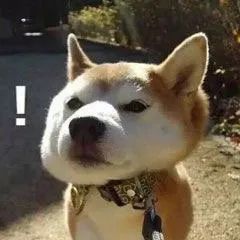 微信号可以改了大家都改什么格式,微信号可以改了为什么又要加字母