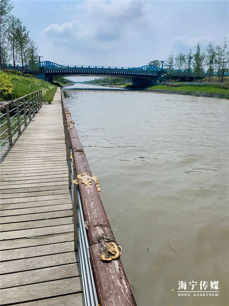 纯天然的野货视频,纯天然野货