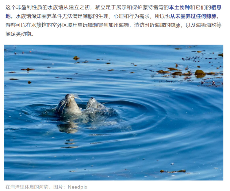 正佳广场鲨鱼事件,正佳广场海洋馆致歉原因