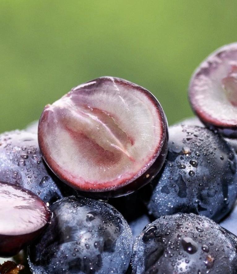 618超值好物瑜伽垫,618超值好物磨砂壳