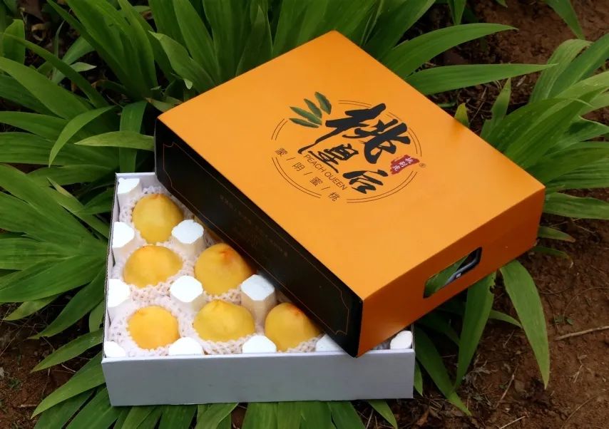 沂蒙山蒙阴黄金油桃五斤装,山东蒙阴正宗黄金油桃