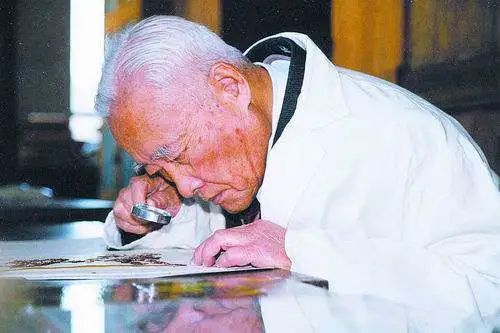 致敬稻田里奉献一生的袁隆平,致敬袁隆平的海水稻