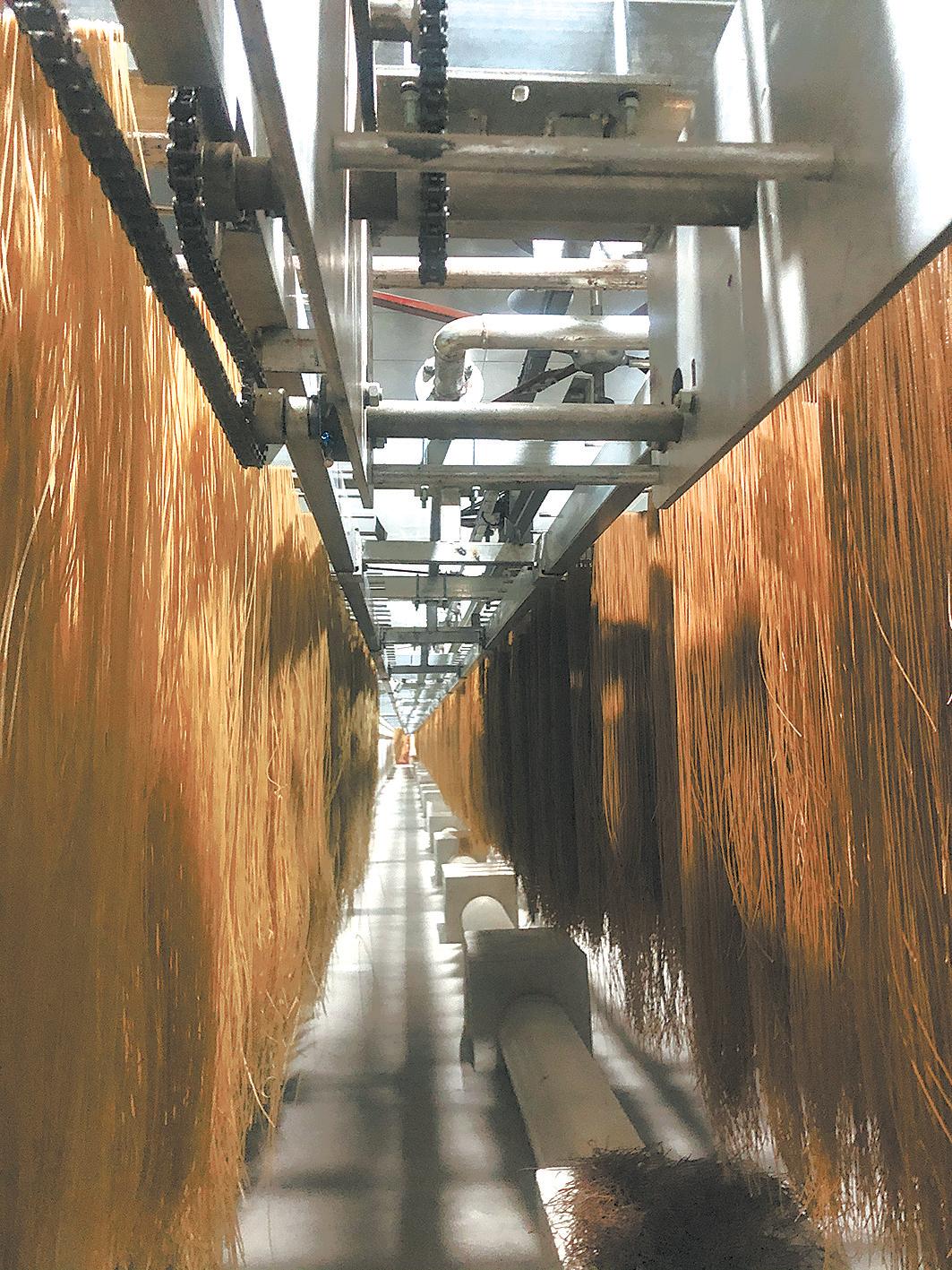 多措并举加快青稞产业发展,青稞发展项目