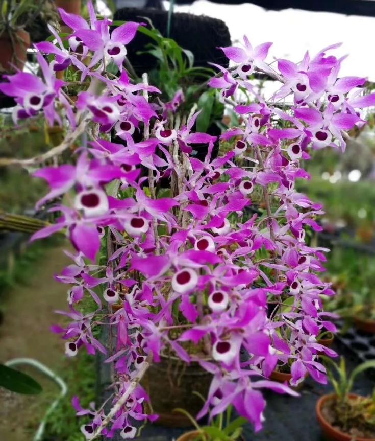 美文阅读人生如诗读后感,悦读美文领悟生活