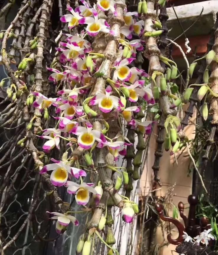 美文阅读人生如诗读后感,悦读美文领悟生活