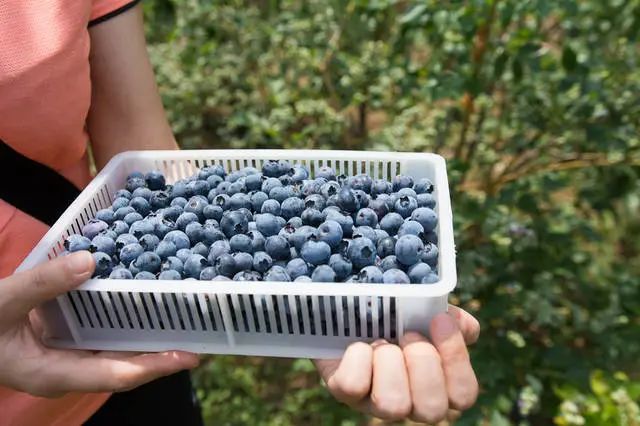 文旅日照市,莒县文旅旅游攻略