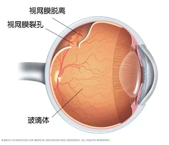 这次大姨妈，我专门计算了一下自己总共流了多少血|荐