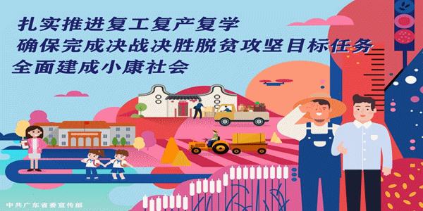 怡海五小对比平洲中心小学,佛山市怡海第五小学竣工时间