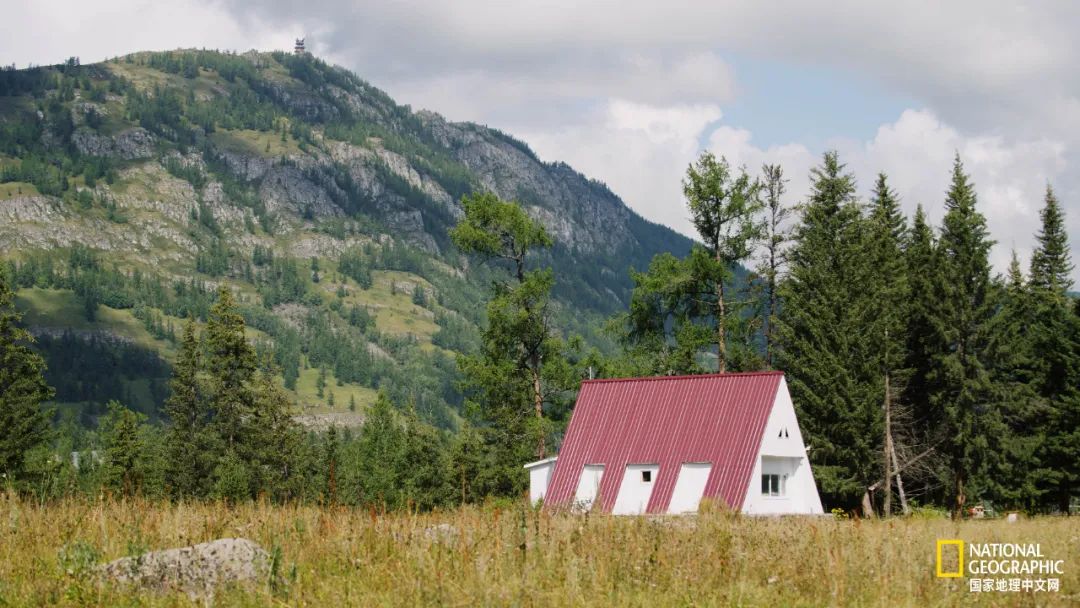 有一种异域风情的美,有一种前所未有的力量充斥着我