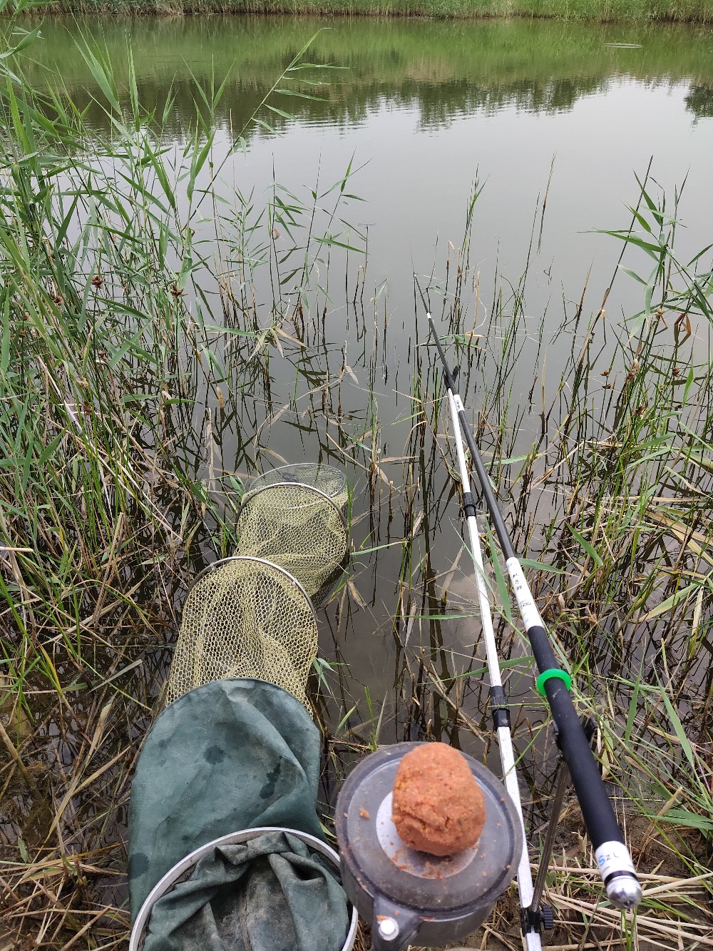 野钓水底有水草调漂最佳方法,野钓水底有枯水草