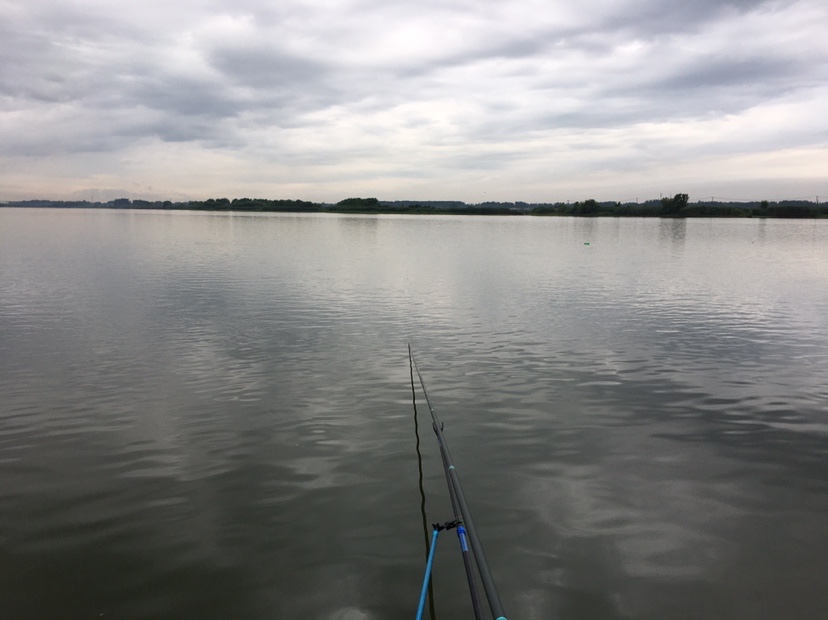 下雨天狂拔大鲫,雨天狂拉草鱼