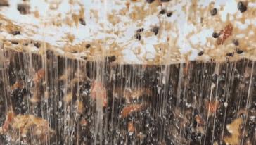 40岁比20岁还年轻的女明星,40岁少女感的女明星