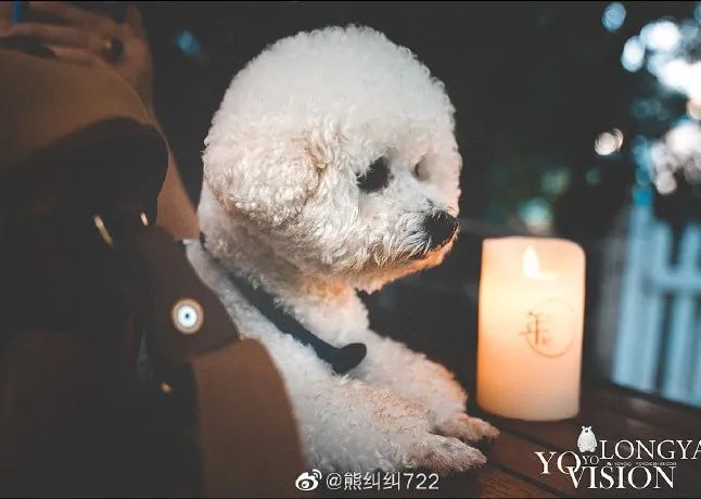 推荐几家下午茶餐,藏于山水间的下午茶推荐