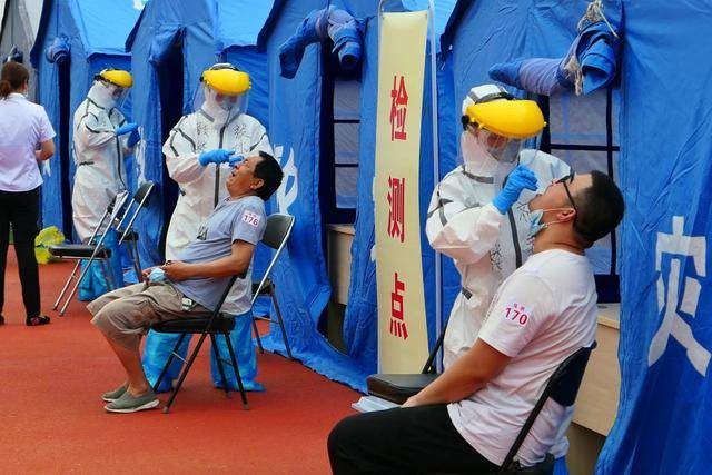 荷兰疫情最新入境限制,丹麦大规模扑杀水貂