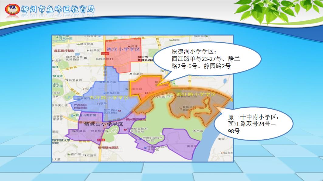 柳州市义务教育阶段公办学校,柳州市小学学区最新划分