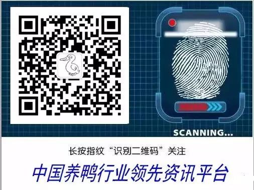 农村池塘淡水养殖什么赚钱,农村家庭小院养殖什么最赚钱