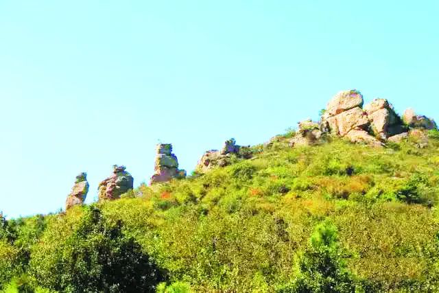 庐州石头传奇:“石公、石婆、石小姐”、“棋盘石”、“霸王石”……