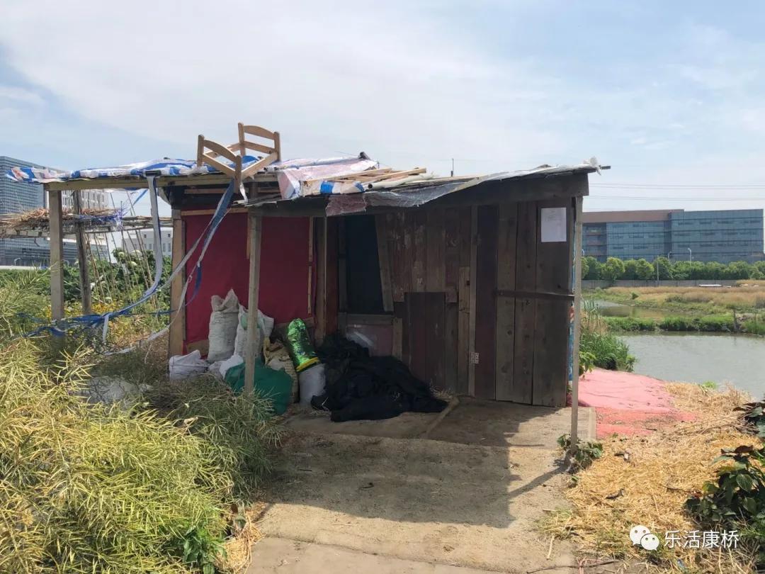 康桥镇学生日记,康桥日记内容