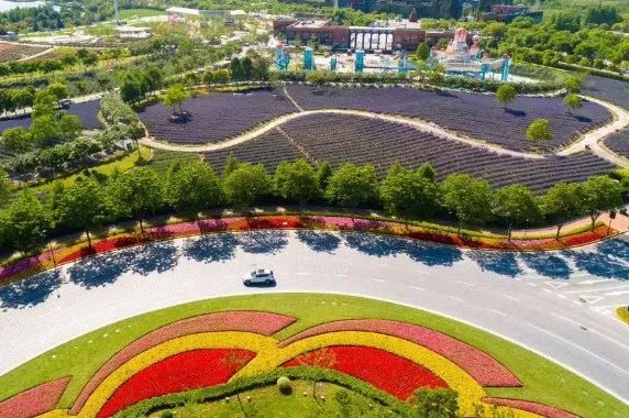 快收好！端午小长假期间，上海各大景点备下超丰富出游盛宴！你可能正需要这份贴心假期玩乐指南