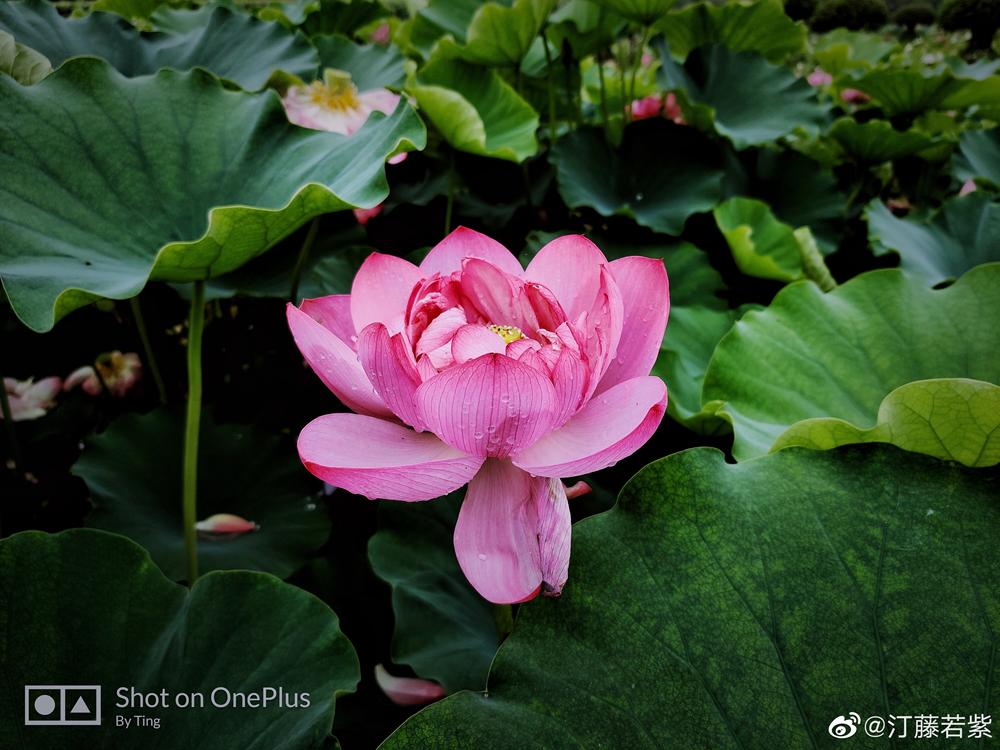 火了火了！成都又新添一个区，地铁10号线直达！夏日纳凉、吃河鲜…3日郊游路线，安排→