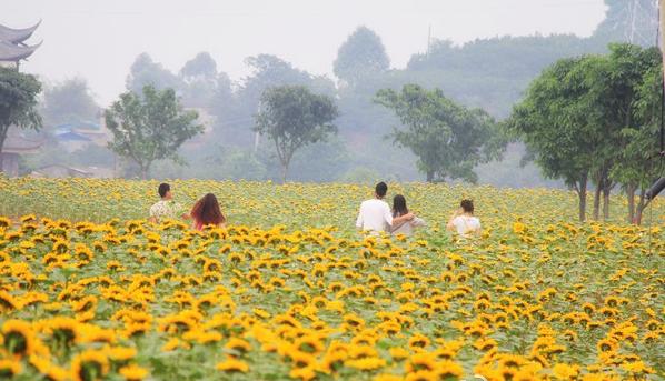 火了火了！成都又新添一个区，地铁10号线直达！夏日纳凉、吃河鲜…3日郊游路线，安排→