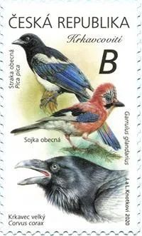 澶栭偖閭エ,骞茬偢涓稿瓙閭瘎