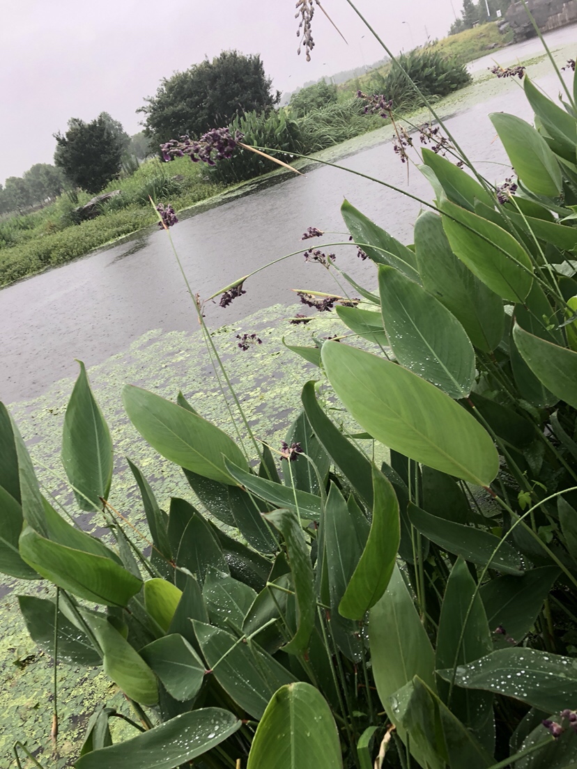 野钓偷瞄隔壁老师傅，没有对比就没有伤害