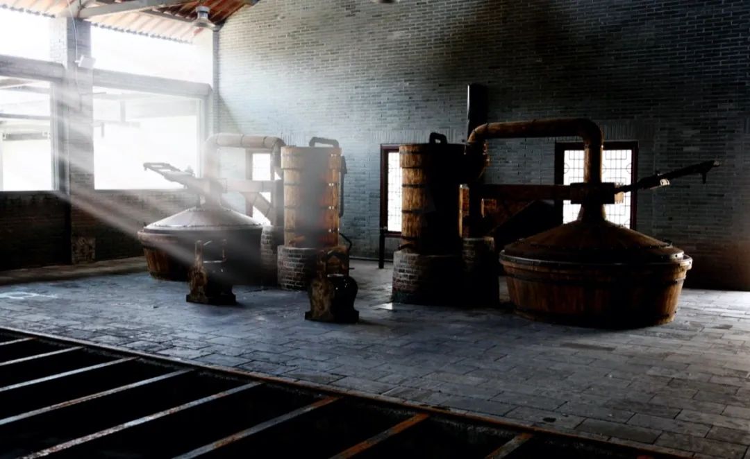 三问酒红标,苏酒头排酒技巧