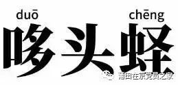 端午节吃起家乡味,端午节来一碗家乡的味道