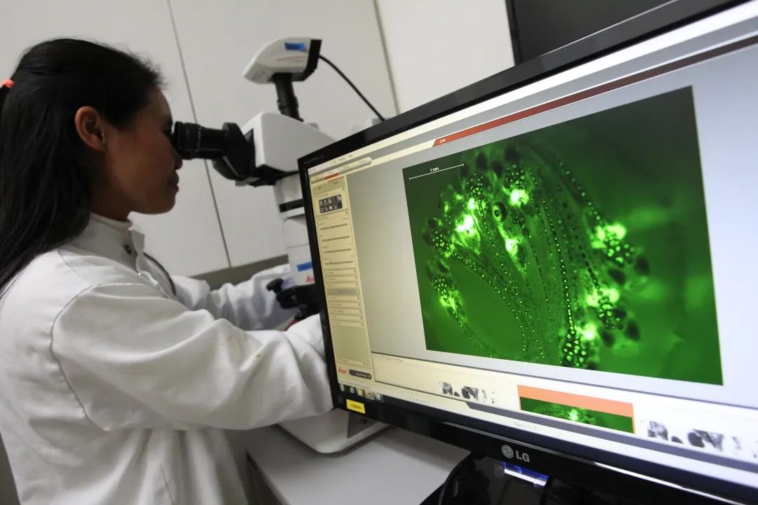 平价防晒效果好的防晒霜测评,防晒测评年度好用防晒霜