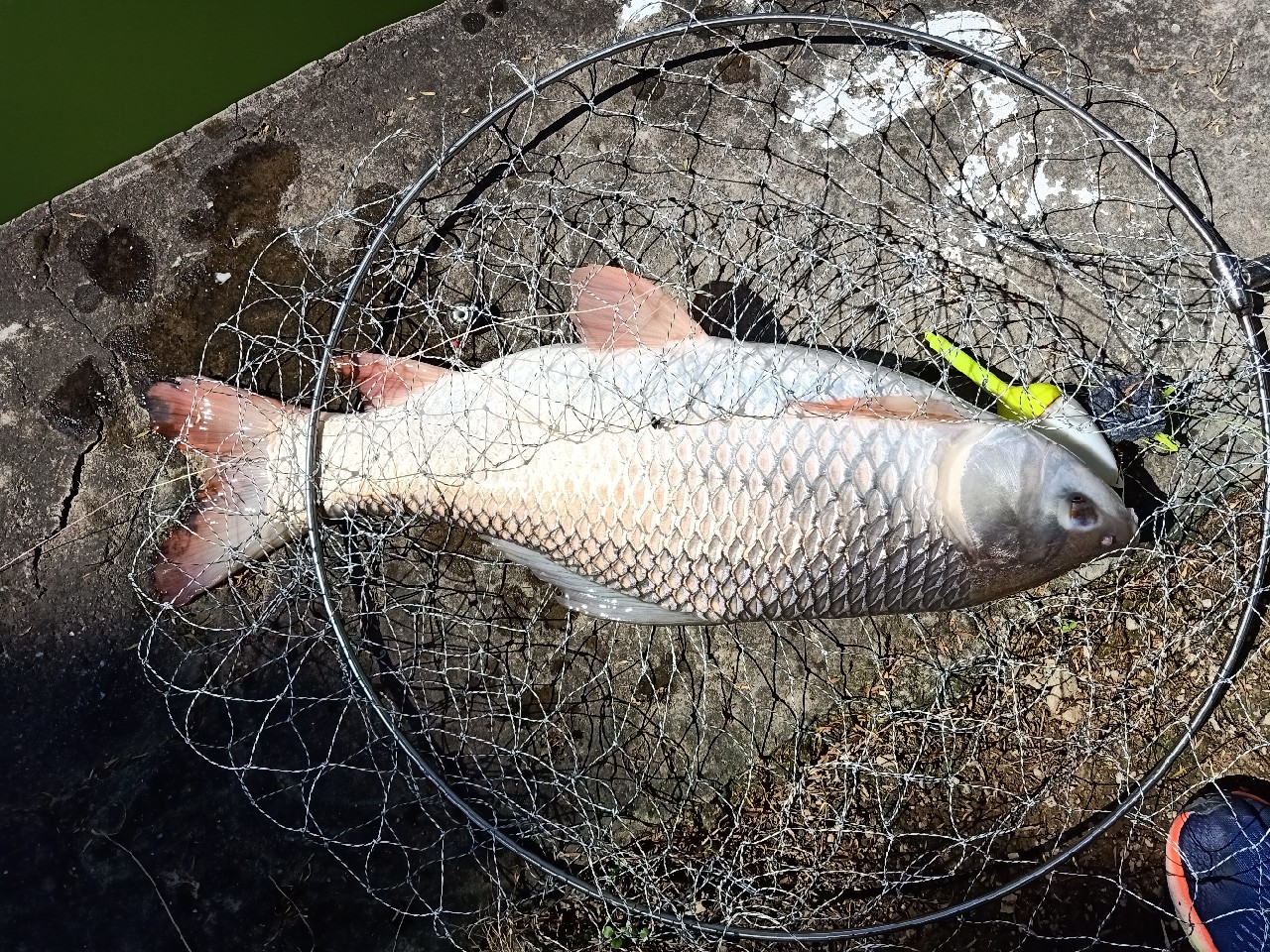 开局即是巅峰第6集,开局即巅峰完整版