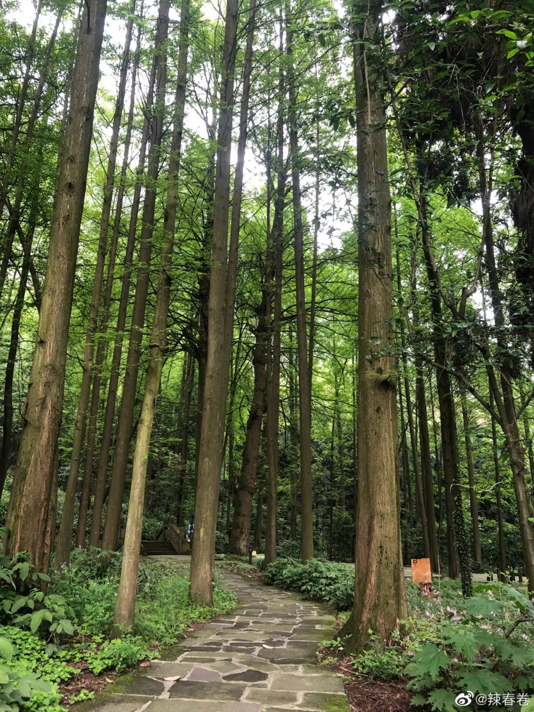 夏日避暑胜地高铁直达,坐动车可直达哪些地方避暑