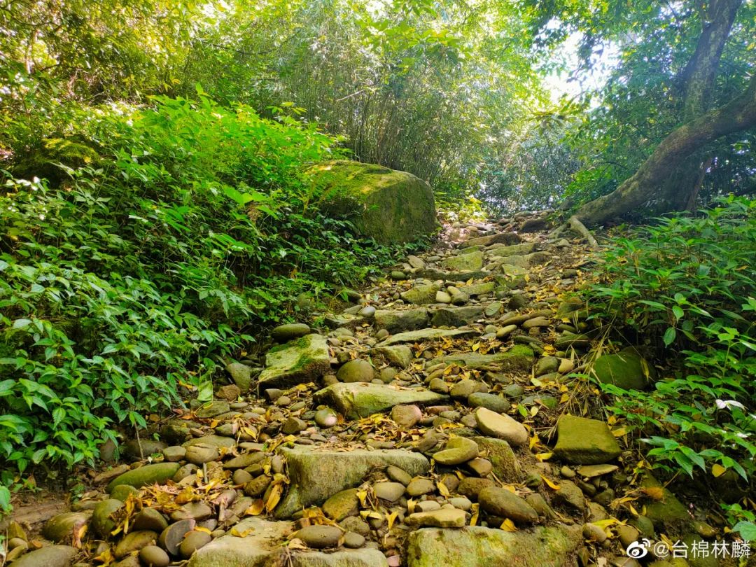 夏日避暑胜地高铁直达,坐动车可直达哪些地方避暑