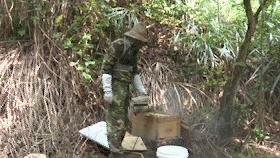 蜂农找蜂蜜销路,养蜂人蜂蜜滞销怎么办