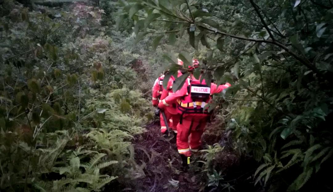 今明两天丽水新闻,丽水新闻今天