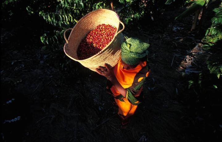 寮犳枃瀹忚皥鍠濆挅鍟＄画鍛藉ソ涓嶅ソ,寮犳枃瀹忚鍠濆挅鍟″鐢蜂汉鍙互寤跺